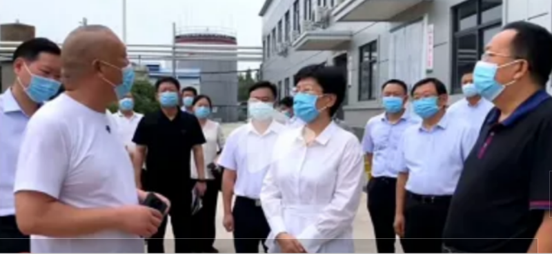 焦作市委書記葛巧紅一行蒞臨旭瑞集團參觀調(diào)研！