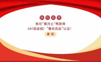 【喜報】—我司黃河土鴨獲4A(鉑金級）“豫農(nóng)優(yōu)品”認證！